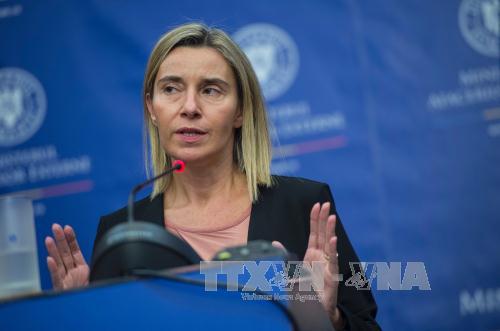 อียูส่งเสริมการปฏิบัติยุทธศาสตร์ความมั่นคงกลาโหมร่วมกัน